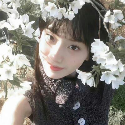 梨花劫粤语